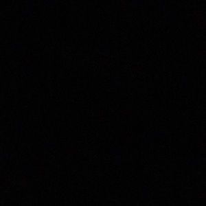 Meet your Posher, Willy